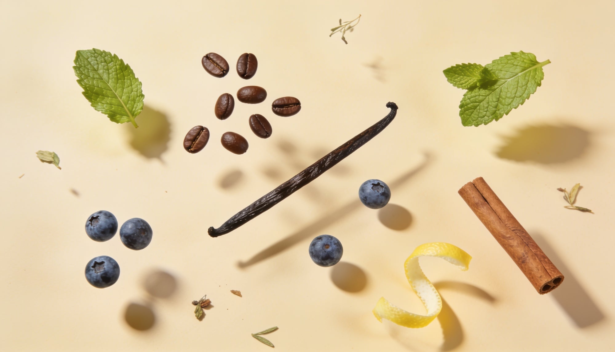 Plante și ingrediente: mentă, boabe de cafea, afine, vanilie, scorțișoară, coajă de lămâie